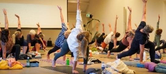 Lunge twist vinyasa yoga retreat dag in Drenthe vinyasa yoga retreat dag in Drenthe