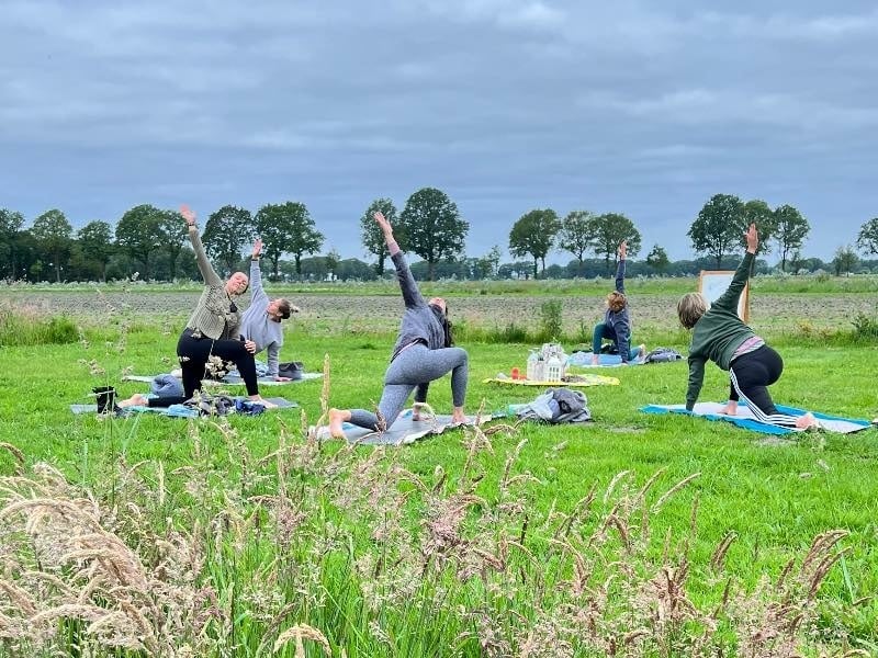 lunge twist yoga retreat in de natuur