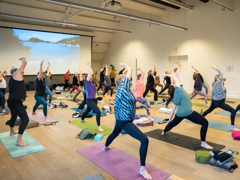 Omgekeerde krijger vinyasa yoga Hof van Saksen Omgekeerde krijger yoga en muziek retreat dag Hof van Saksen