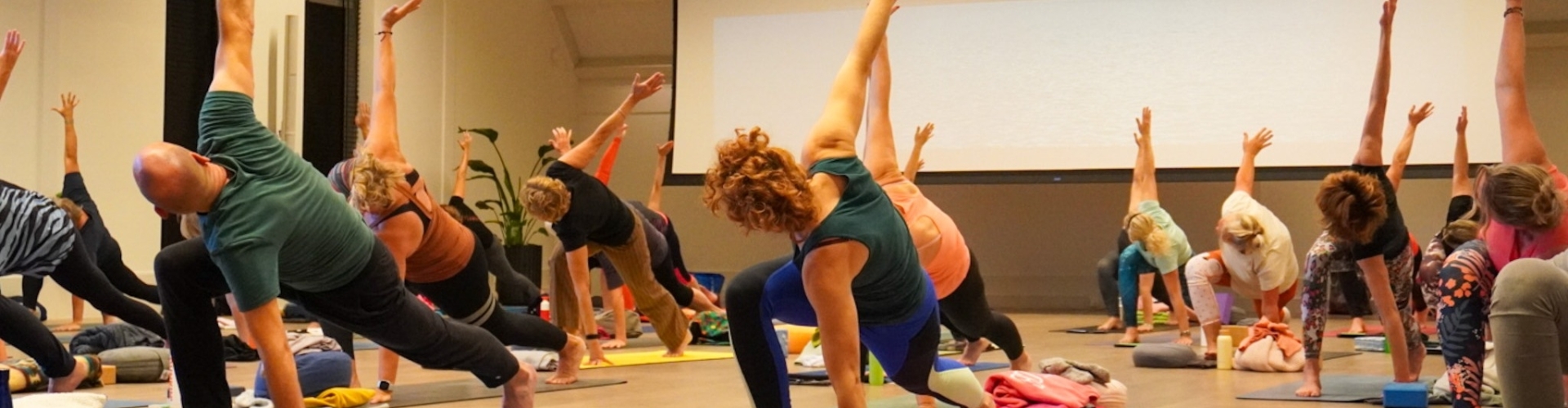 Vinyasa yoga in Drenthe/Groningen op donderdagavond