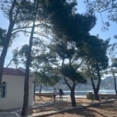 Wandeling yoga en zeilen week groot Vathi