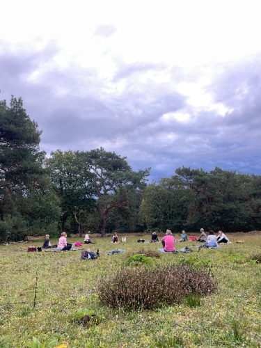 yoga in de buitenlucht in de Drentse bossen