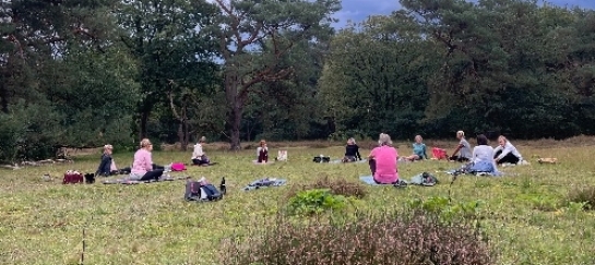 yoga in de buitenlucht in de Drentse bossen