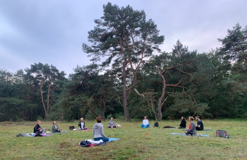 Yoga in de natuur in de Drentse bossen