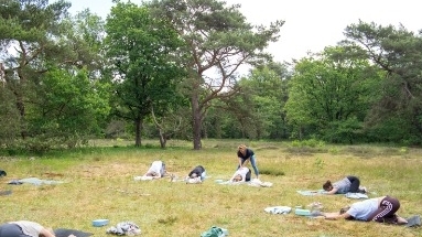 Vinyasa yoga in de bossen in Drenthe