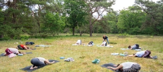 Vinyasa yoga in de bossen in Drenthe