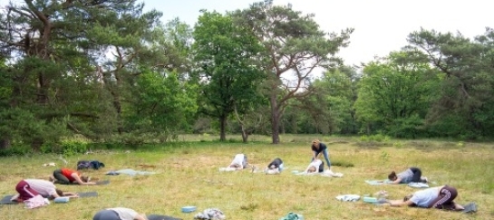 Vinyasa yoga in de bossen in Drenthe