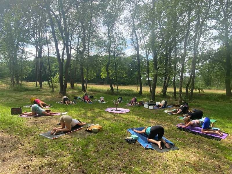 Yoga in de natuur retreat puppy pose