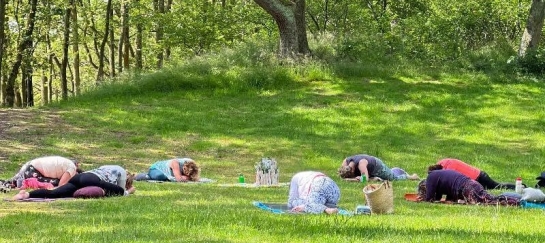 yoga in de natuur retreat dag