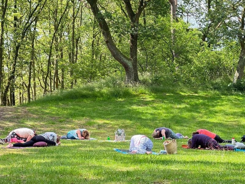 yoga in de natuur retreat dag