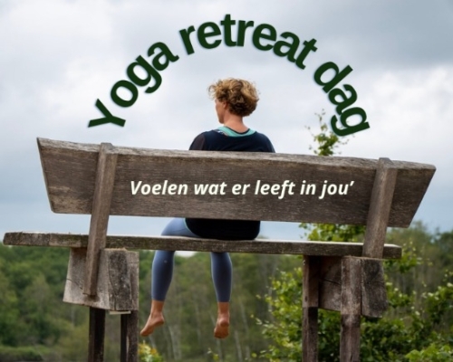 Vinyasa Yoga Retreat Dag in Drenthe
