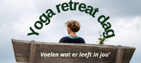Vinyasa Yoga Retreat Dag in Drenthe