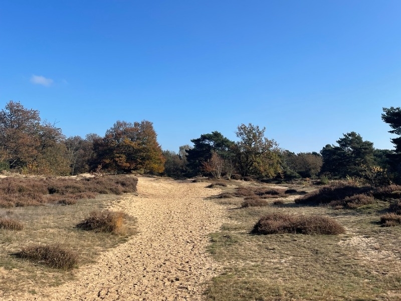 Yoga retreat dag wandeling Drentse heideveld Yoga Retreat Dag Drentse heide