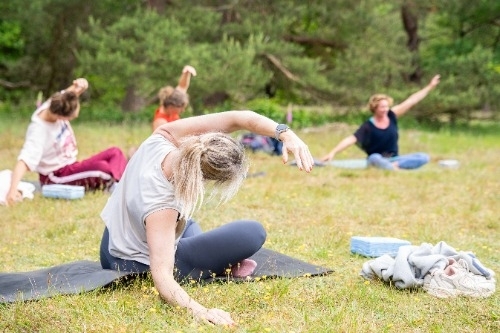 Yoga in de Drentse natuur