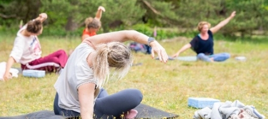 Yoga in de Drentse natuur
