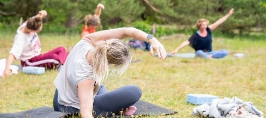 Yoga in de Drentse natuur