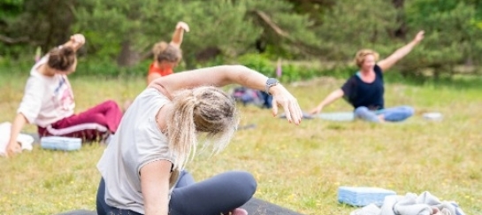 Yoga in de Drentse natuur