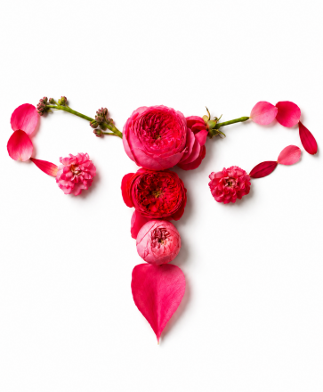 bloem baarmoeder