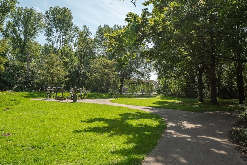 Grass field in the Rembrandtpark, Amsterdam