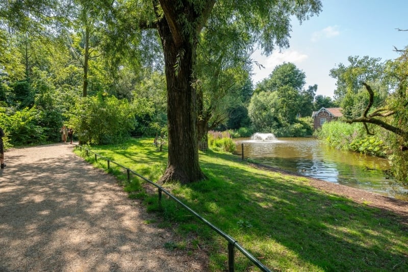 Sarphatipark, Amsterdam de Pijp scenery