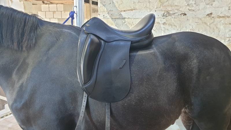 zadelfitting