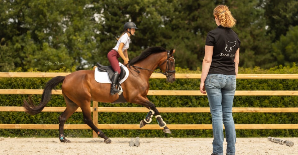 schutte springzadel testen