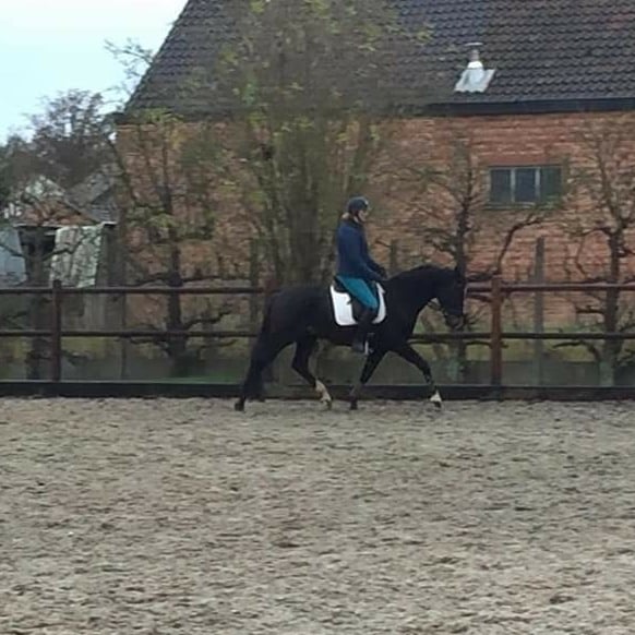 Jack pas onder het zadel