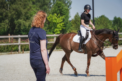 ruiter en paard observeren onder het zadel