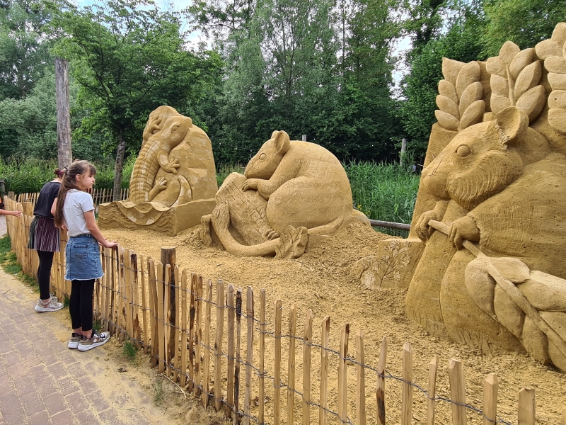 groot project zandsculpturen dieren