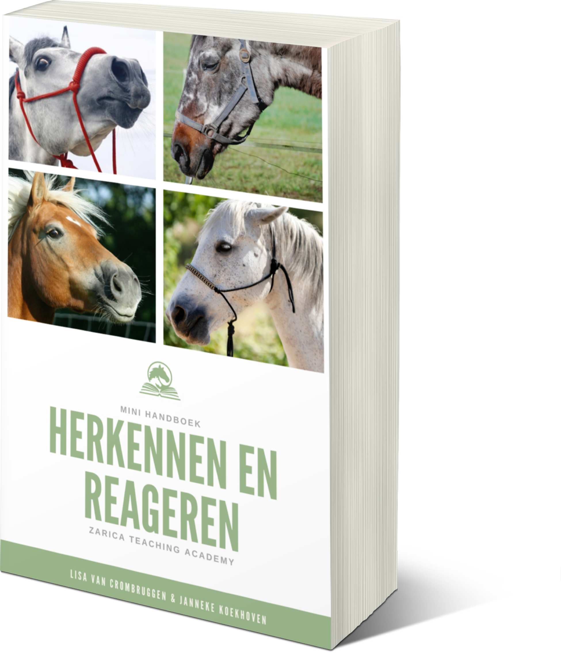 paardvriendelijk force free clickertraining