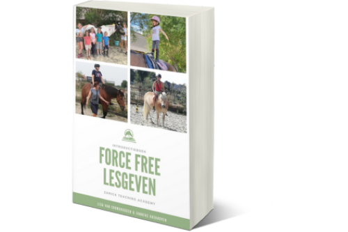 clickertraining, positieve bekrachtiging, paardvriendelijk, force free, keuzevrijheid, paarden, opleoding, community, instructeurs, paardentraining, coaching