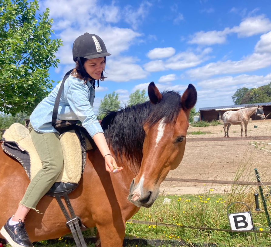 Leerling op clickerpaard Lady