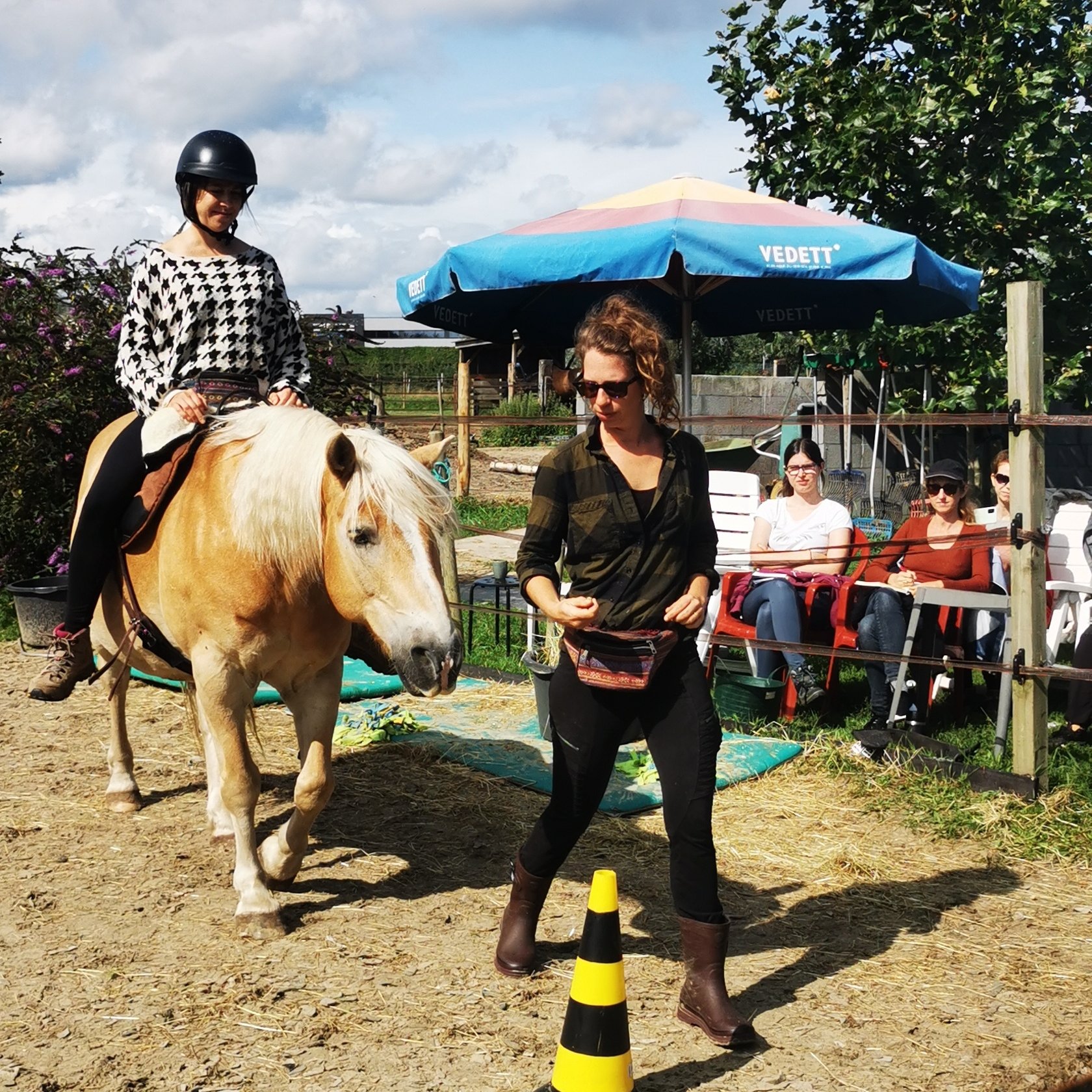 Lisa en Azzaro laten de deelnemers zien hoe je een paard op een ethisch verantwoorde manier inzet in R+ lessen