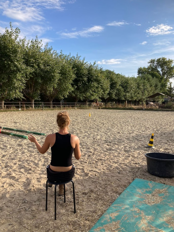 Buitenbak Zarica Teaching Academy / Horses