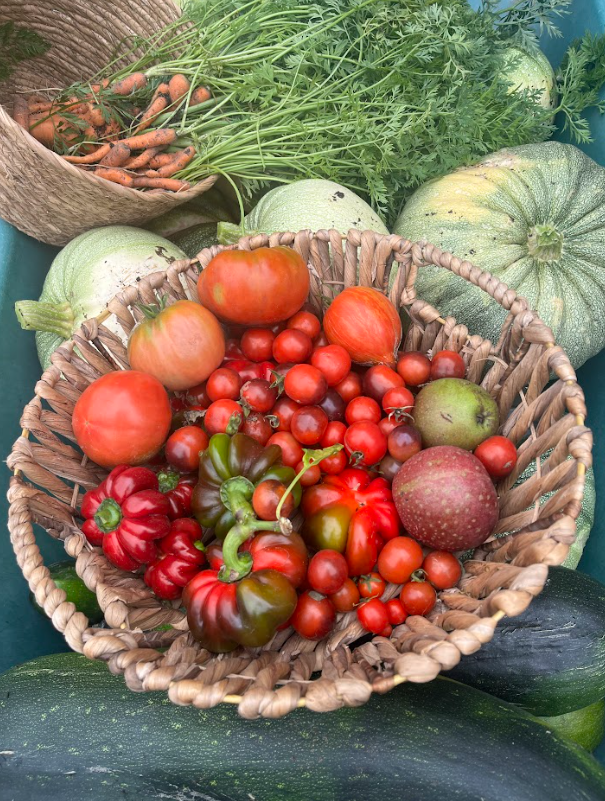 Groenten uit eigen tuin