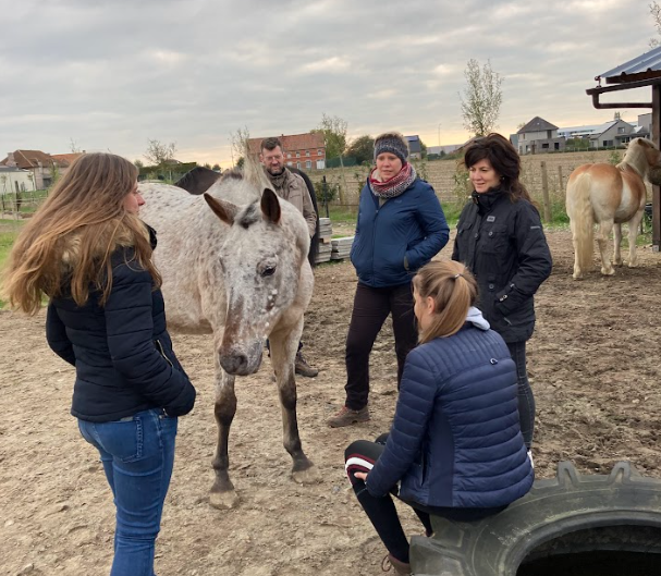 R+ minded mensen met pony Sterre