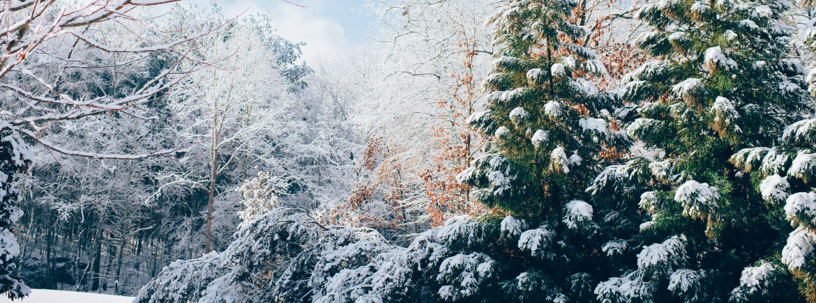 Stress voor kerst naar mindful bij kerst Stress voor kerst naar mindful bij kerst