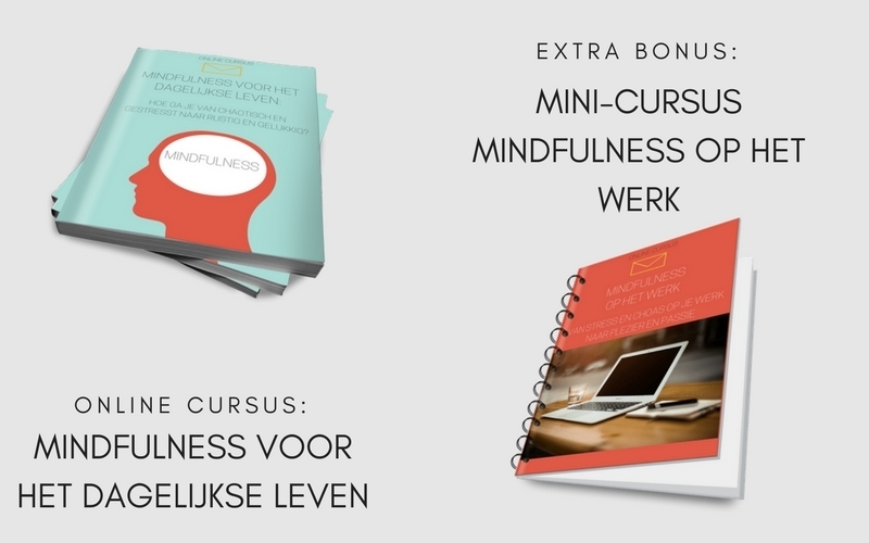 mindfulness voor het dagelijkse leven bonus mindfulness voor het dagelijkse leven bonus