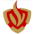 Brandweer logo