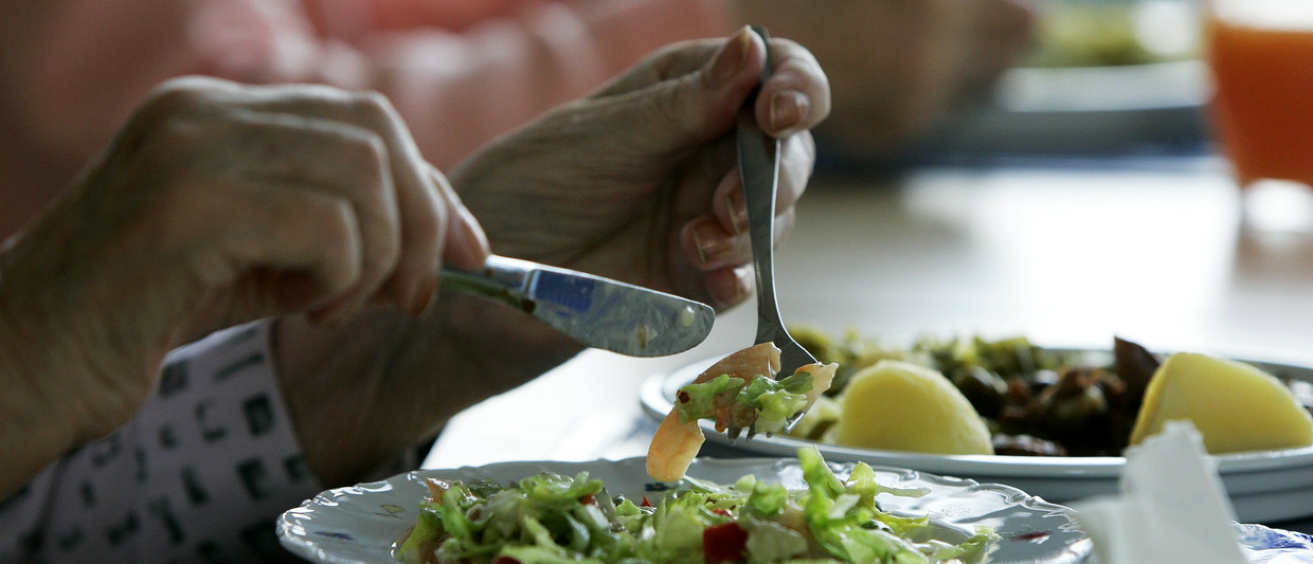Wat kan je eten als vegetariër voor een gezondere levensstijl?