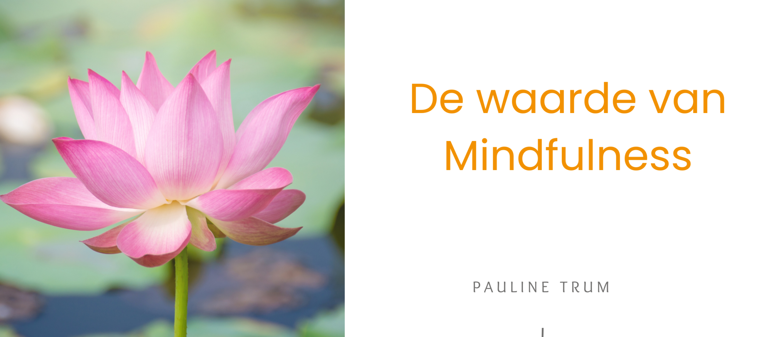 De waarde van mindfulness