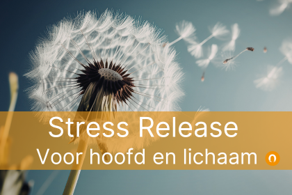 afbeelding van Zonnevlecht Opleidingen Online