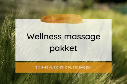zonnevlecht online en opleidingen