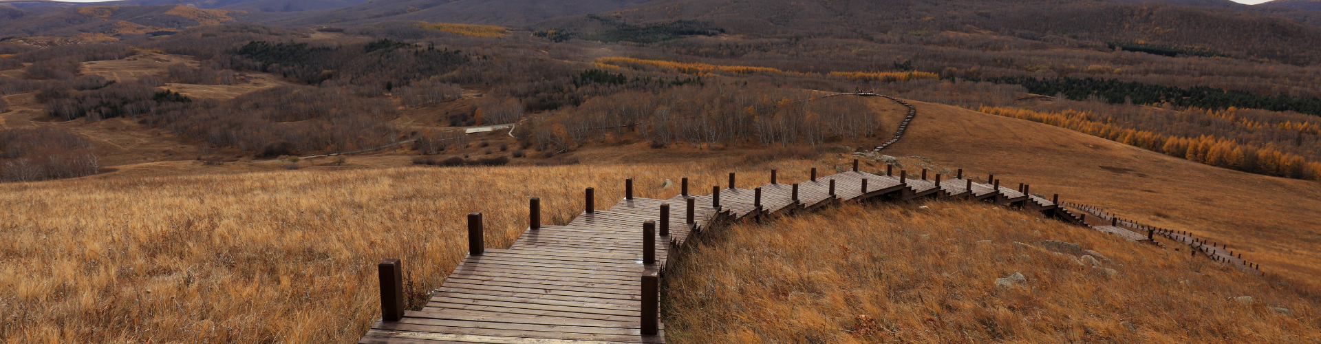 Zonnevlecht Opleidingen Online