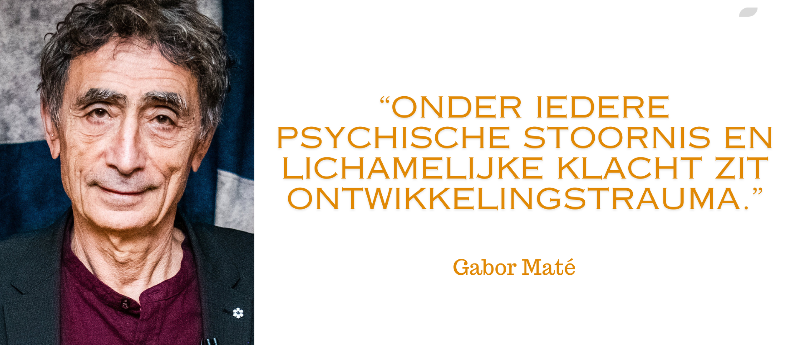 Gabor Maté een inspirerende reis naar begrip en heling