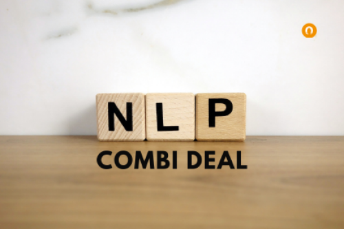 Afbeelding met houten blokken met de letters NLP erop