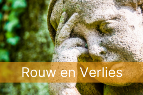 Pauline Trum Zonnevlecht Opleidingen Online