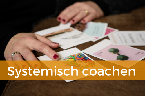 Pauline Trum Zonnevlecht Opleidingen Online