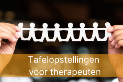 Zonnevlecht Opleidingen Online