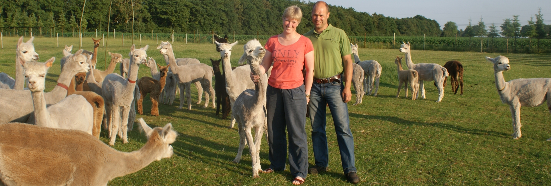 Alpaca-Ranch Meeden, Gert en Margreet Joling Alpaca-Ranch